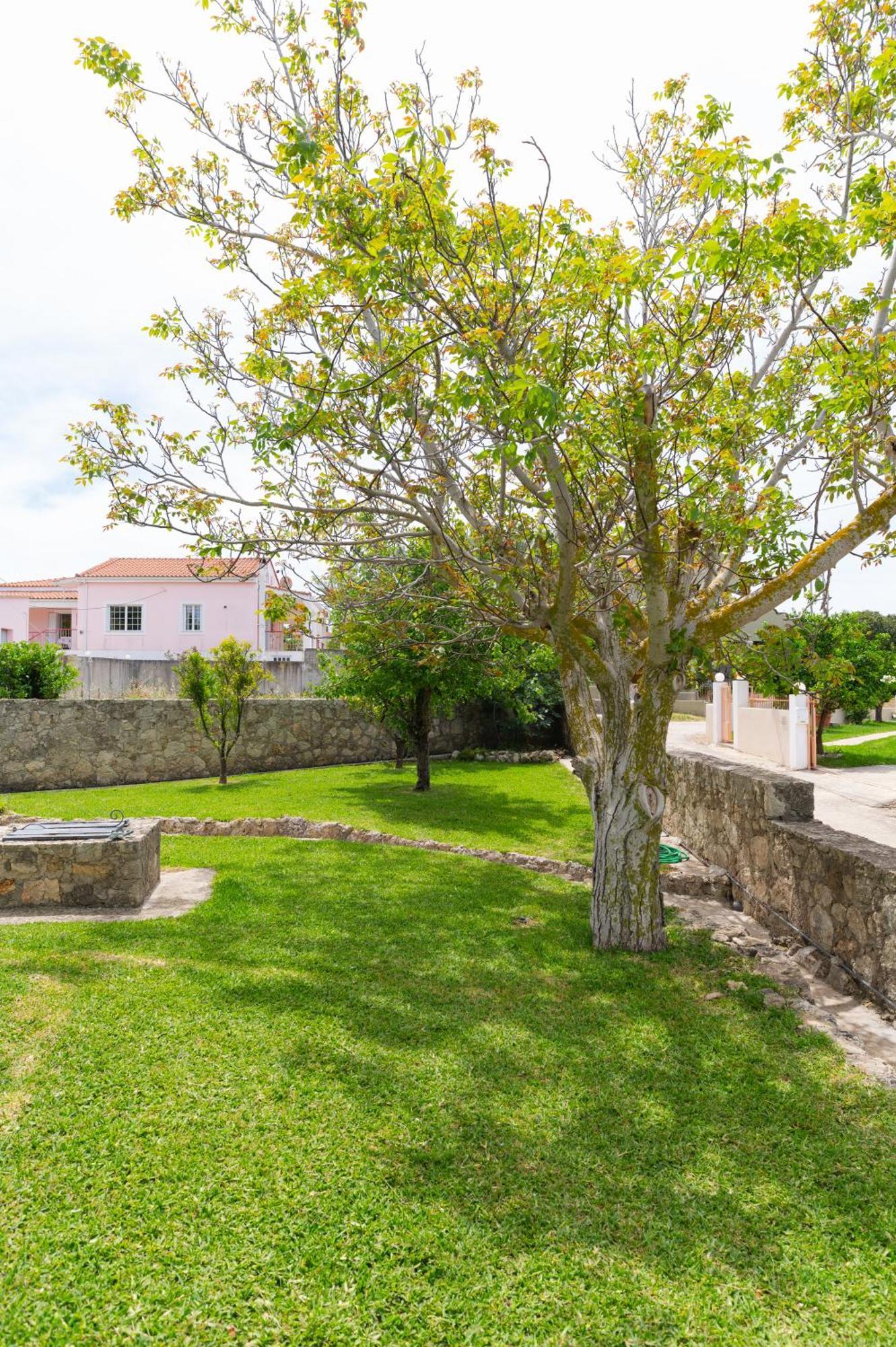 Vasilopoulos Residences - Apartments Ioni & Neso Argostoli (Kefalonia) Exterior foto